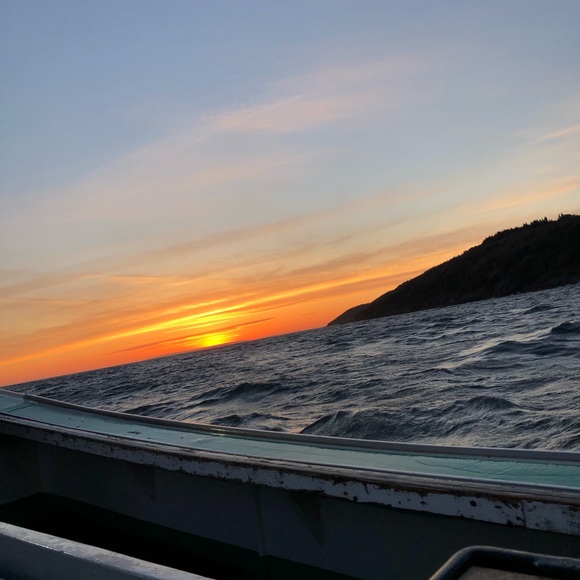 Meet your Posher, Jacob - Picture 1 of 1